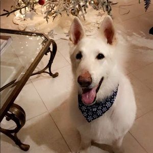 Meet your Posher, Samantha